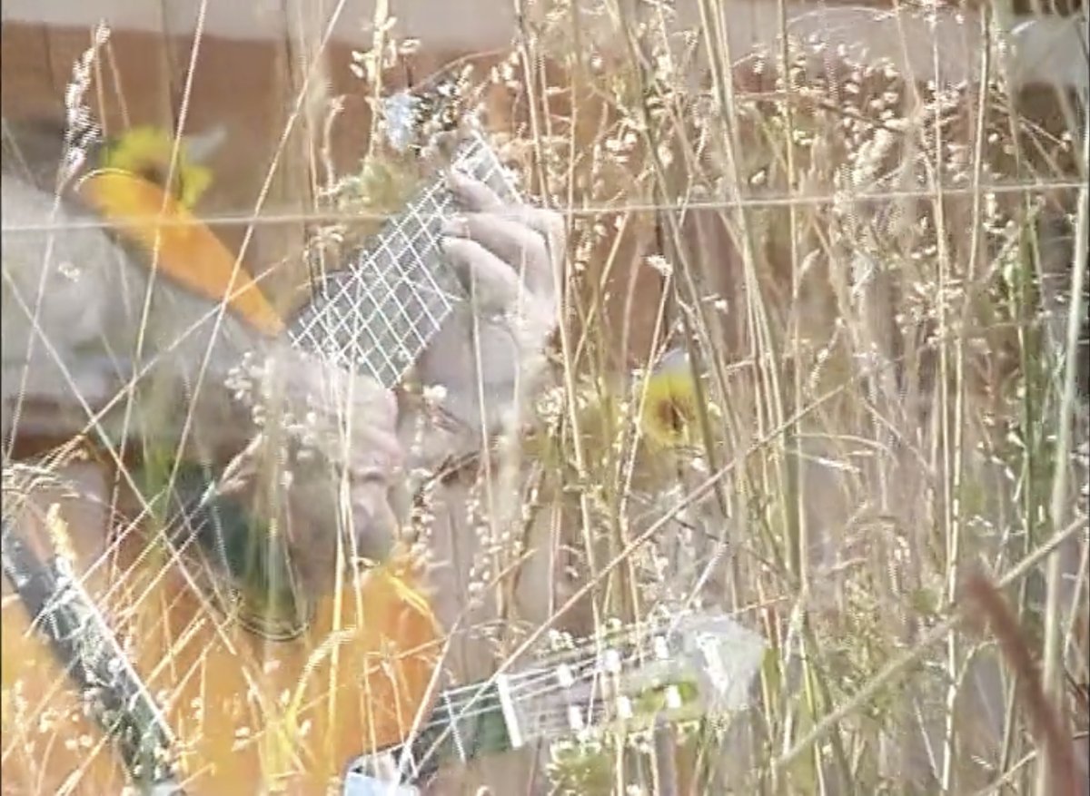 image du film « antithèse d’un été III »